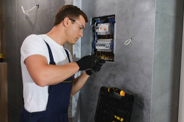 Best Home Electrical Repair  in Niles, OH